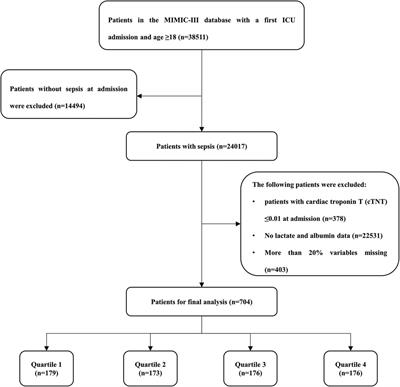 The lactate to albumin ratio linked to all-cause mortality in critically ill patients with septic myocardial injury